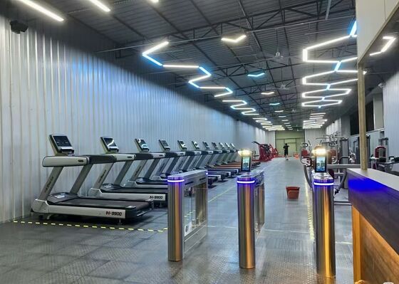 Comprar Tornostil automático de puerta de swing para acceso al gimnasio con reconocimiento facial QR online manufacture